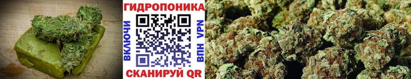 хочу   Димитровград  Cannafood марихуана 