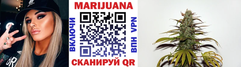 дарк нет клад  как найти наркотики  Димитровград  Бошки марихуана White Widow 